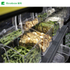 ECOBOX MF-0101B BIN CANDY ARRANDE AVEC avec tiroir à l'intérieur